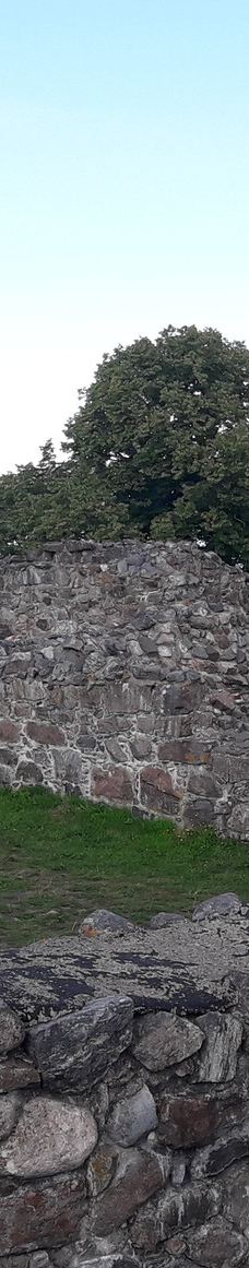 Kuusisto Bishop's Castle-卡里纳