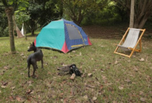 Eco Park Xanath - Papantla景点图片
