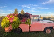 Grotto Gardens景点图片