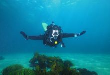 Dive Centre Bondi购物图片