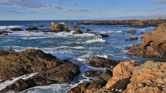 Noyo Headlands Park
