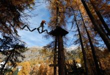 Go Vertical购物图片