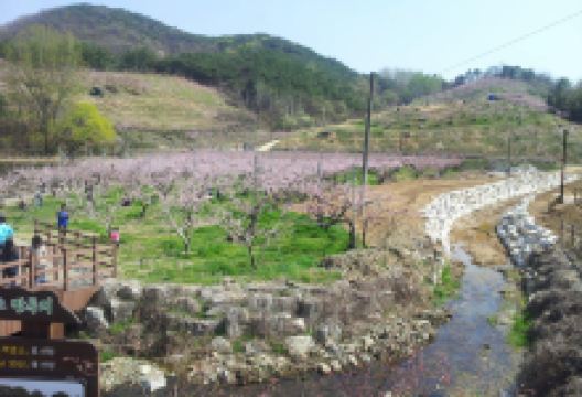 Bangokji Reservoir景点图片