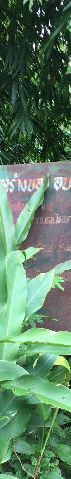 Ton Pring Waterfall-泰孟