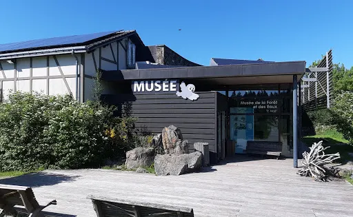 Museum of the Foret et des Eaux 'P.Noe'