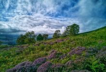 Ros Castle景点图片