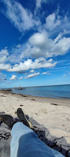 Åbent skovareal ved Nyborg-尼堡