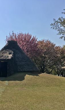 本町田遗迹公园-町田市
