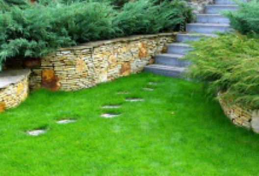 Puutarha Jaanto购物图片