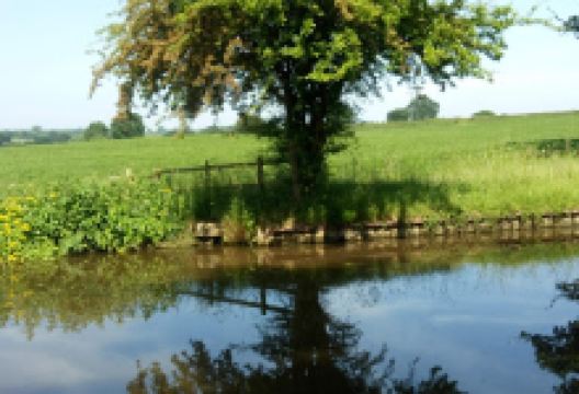 Bloomsbury Nursery购物图片