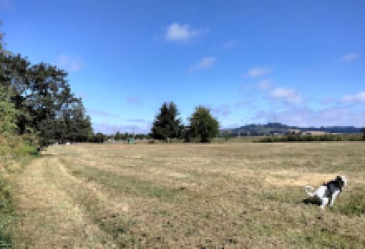 Alderman Park景点图片