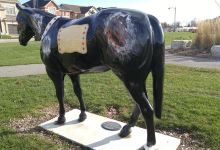 Hickstead Memorial park景点图片