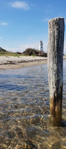 Sophiæodde-米泽尔法特