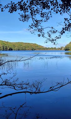 Opal Lake-伯恩霍尔姆