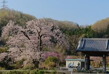 光厳寺景点图片