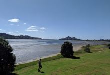 WWI Memorial Native Tree Planting景点图片