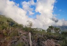 Vereda El cinco购物图片