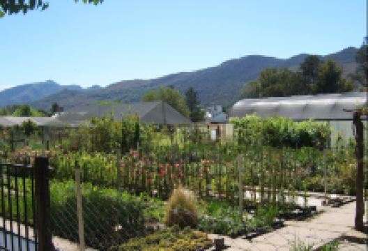 Cultivos Soria购物图片