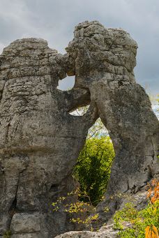 Wood Païolive-罗纳-阿尔卑斯