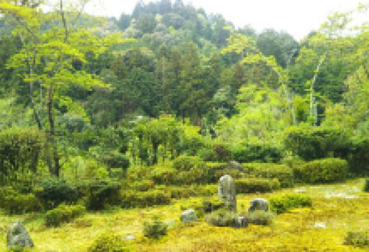 上乗寺景点图片