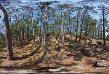 Pine Ridge Hiking Trail景点图片