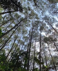 Mount Tidar-马格朗市