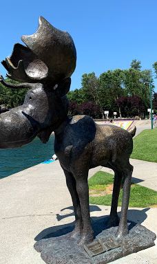 McEuen Park and Dog Park-科达伦