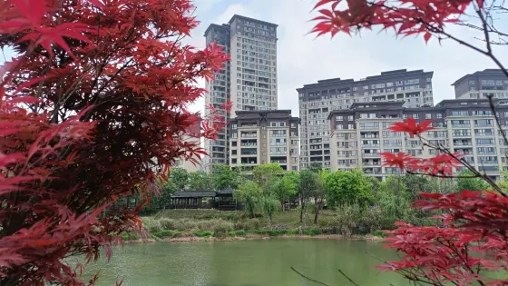 貞豐濕地公園
