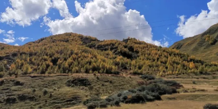 道孚縣台站溝自然保護區