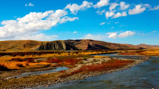 青海湖國家級自然保護區