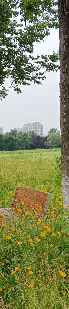 庙底沟考古遗址公园-三门峡