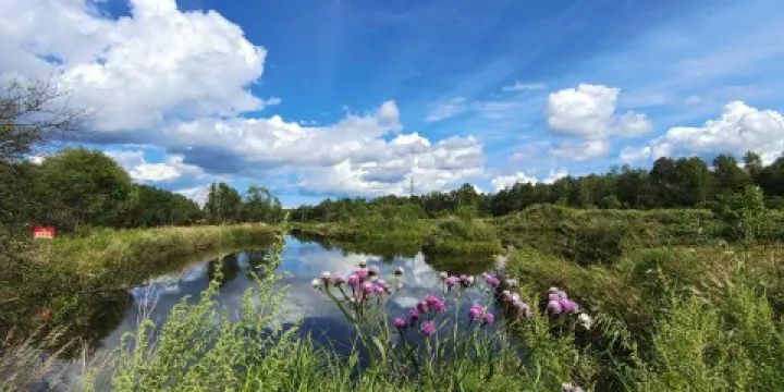 十里河國家濕地公園