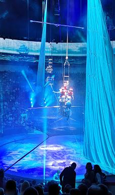 奇尼塞利马戏团-圣彼得堡