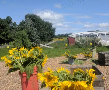 Totten Family Farm