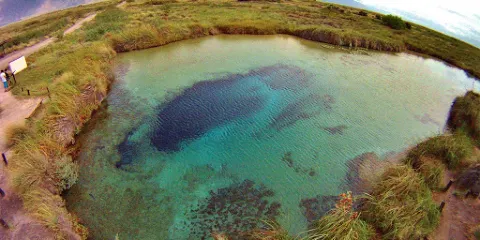 夸特羅謝內加斯