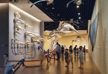 National Marine Biodiversity Institute of Korea景点图片