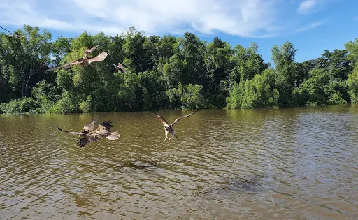 Adelaide River Foreshore Conservation Area