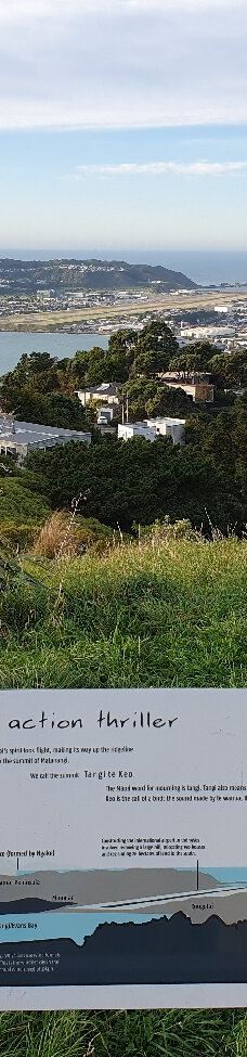 维多利亚山-惠灵顿