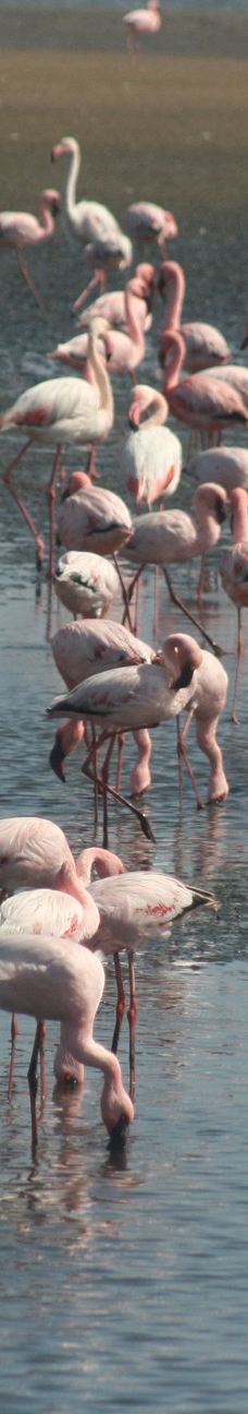 长滩休闲公园-Langstrand