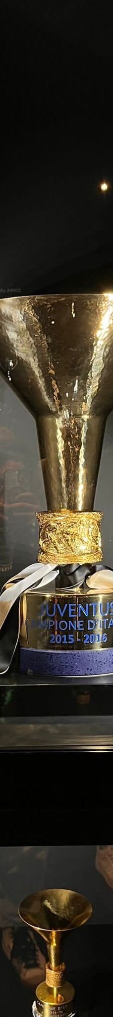 尤文图斯博物馆-都灵