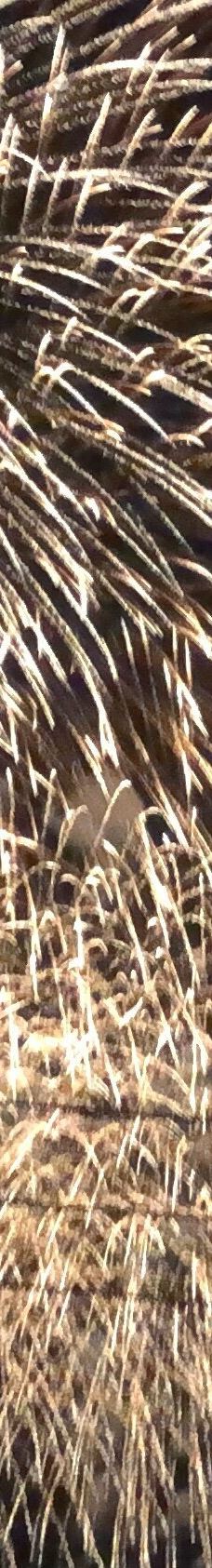 热海海上花火大会-热海市