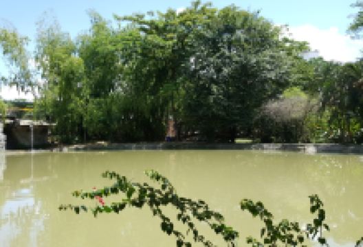 Guadua Park景点图片