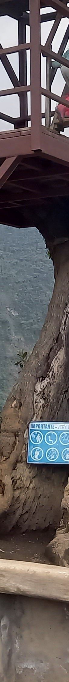 La Casa del Arbol-巴尼奥斯县