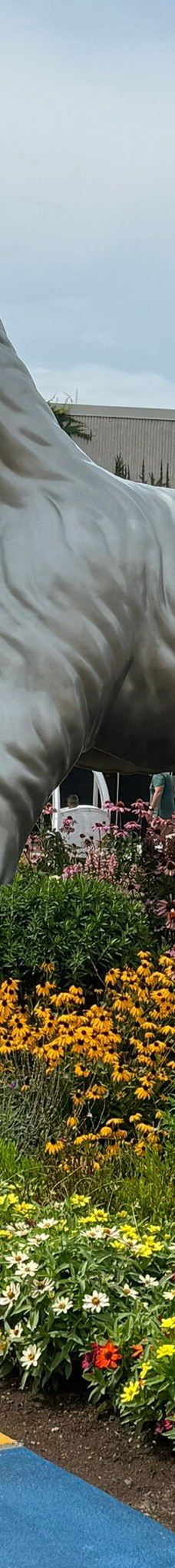 The Strong National Museum of Play-罗切斯特