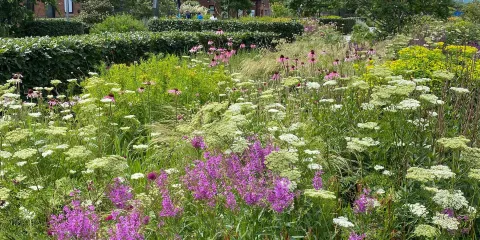 芭芭拉赫普沃思博物館和雕塑園