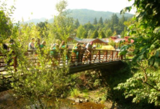 Friends of the Issaquah Salmon Hatchery景点图片