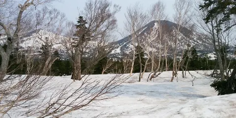 雪廊