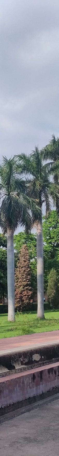 萨夫达尔疆陵墓-新德里