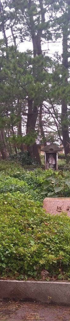 尼御前岬-加贺市