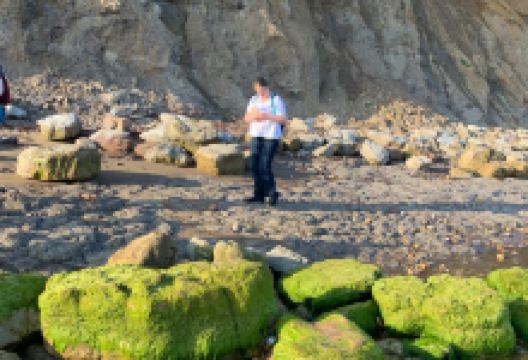 Isle of Wight Fossil Hunts - Island Gems购物图片